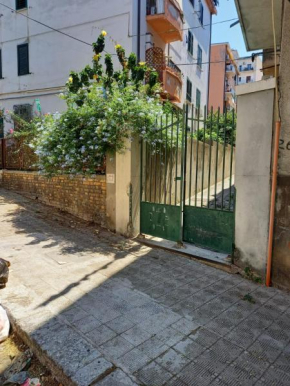 pp1.apartment